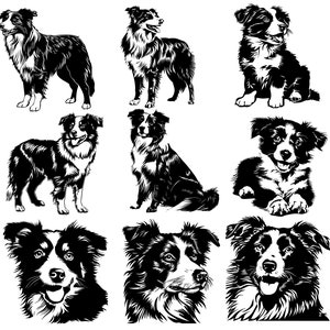Paquete de archivos de perro Border Collie SVG, PNG, descarga instantánea, descarga digital, diseño simple, perro, raza de perro, madre cachorro, fácil de descargar