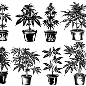 Planta de marihuana SVG, paquete de Svg de fumador, Svg de planta de marihuana, planta de marihuana, Svg de fumador, vector, Svg para Cricut, archivos en capas, descarga instantánea
