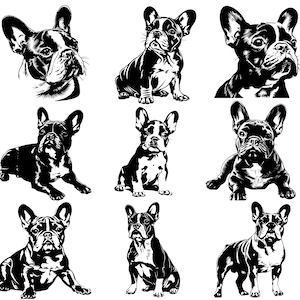 Pacote SVG de Bulldog Francês, Download instantâneo, Download digital, Mãe Frenchie, Pai Frenchie, Bulldog Francês espiando, Bulldog Francês PNG