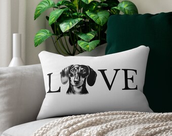 Dachshund cushion, dachshund decor, dachshund decoration, dachshund dog gift cushion, dog decoration, gift for dachshund lovers, dachshund gift