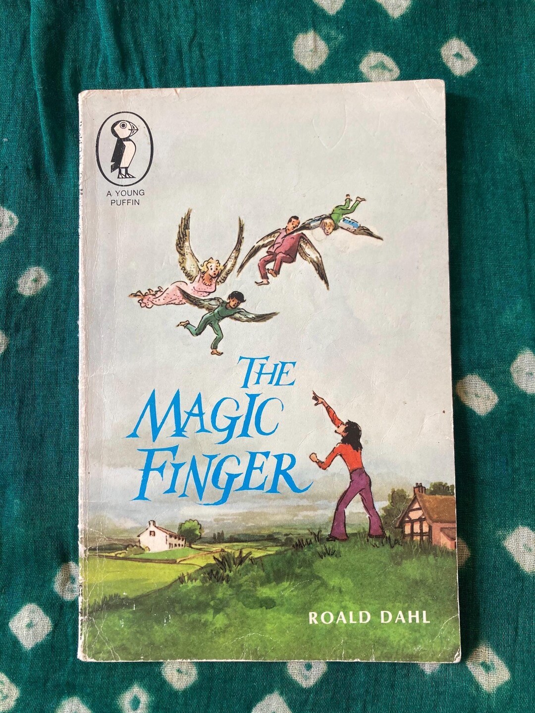 The Magic Finger by Roald Dahl - Etsy