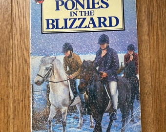 Pony's in de sneeuwstorm door Christine Pullein-Thompson