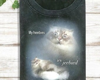 My Heebies Are Jeebied Shirt, Funny Cat Meme Shirt, Sarcastic Animal Hoodie, Raccoon Sweatshirt, Vintage Graphic Tee