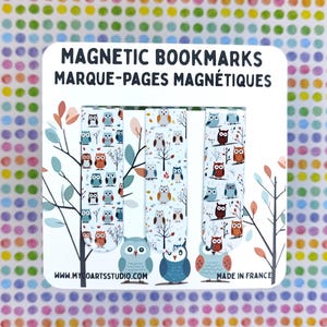 Magnetische bladwijzers steenuil, set van drie schattige vogelbladwijzers, bladwijzer natuurthema, geschenk wijze uil lezer, paginamarkering nachtuil
