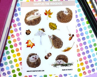 Igelkottklistermärkesark, Skogspromenadsdagboksklistermärken, Trädgårdsplanerarklistermärken, Söta djurlivsklistermärken, Hantverk, Scrapbooking, Mysig konst
