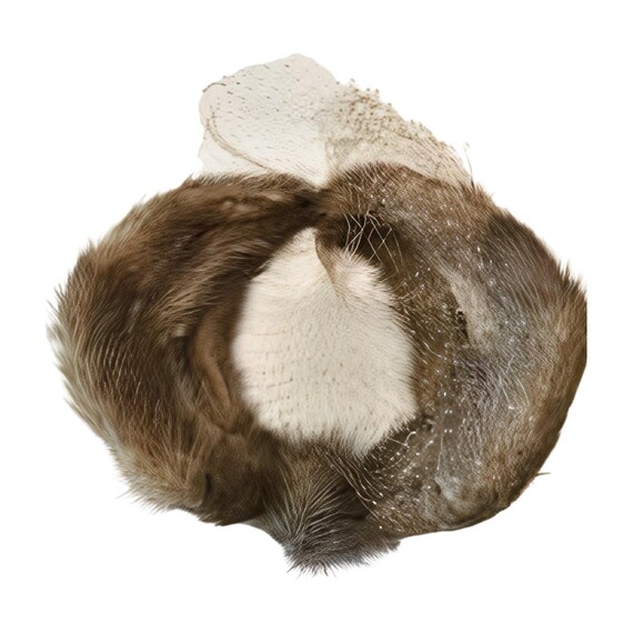 Vintage Amazing Real Fur Fascinator Fur Fascinator Original Vintage Hats for Women for sale | eBay main image 2
