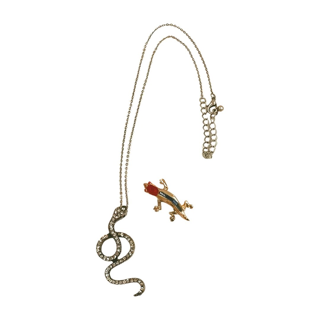 Mixed Jewelry Lot Salamander Gecko Brooch, Rhinestone Snake Necklace 20 Etsy