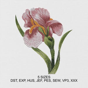 Puede incluir: Flor de iris bordada en tonos rosa, naranja, verde y blanco. La flor tiene costuras detalladas sobre un fondo blanco. La imagen incluye el texto "5 SIZES" y abreviaturas de formato de archivo.