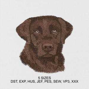 Motif de broderie Machine chien, fichier de broderie numérique Labrador Retriever chocolat, motif de couture pour animaux de compagnie, téléchargement immédiat, 5 tailles de cerceau