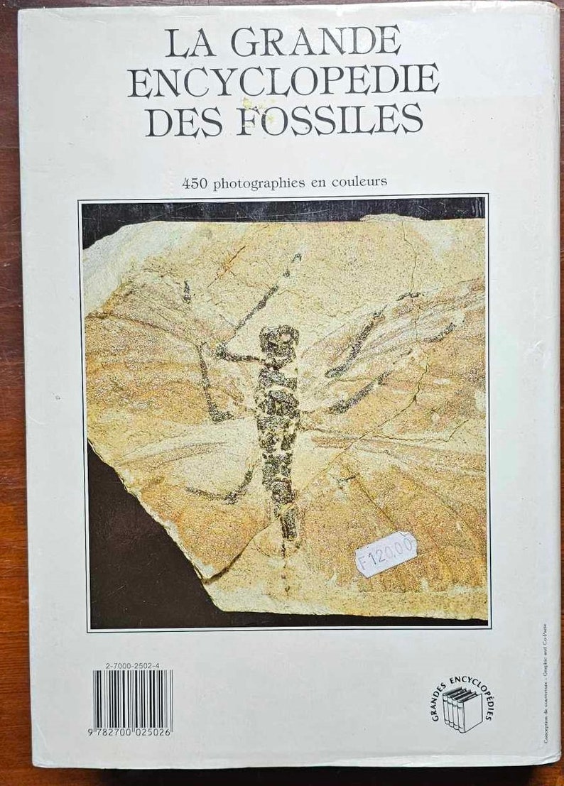 The Great Encyclopedia of Fossils Gründ 1990 Dritter Druck Gebraucht Bild 7