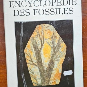 The Great Encyclopedia of Fossils Gründ 1990 Dritter Druck Gebraucht Bild 1
