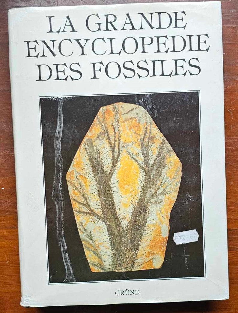 The Great Encyclopedia of Fossils Gründ 1990 Dritter Druck Gebraucht Bild 1