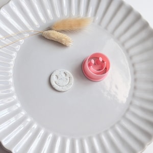 May include: A white ceramic plate with a fluted edge holds a small, speckled, circular clay smiley face and a pink plastic smiley face cookie cutter. Dried beige decorative grass accents the plate.