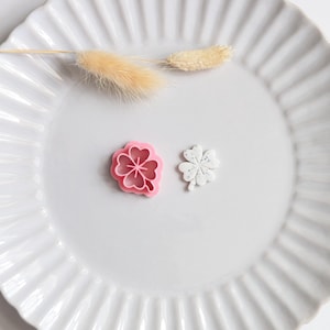 Può includere: Un piatto di ceramica bianco con bordo scanalato contiene un tagliabiscotti rosa a forma di fiore e un piccolo quadrifoglio bianco e grigio. Erba beige secca accentua la composizione. L'immagine è ben illuminata.