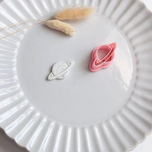 May include: A white ceramic plate with a fluted edge holds two planet-shaped items. One is white with gray speckles, the other is pink. A sprig of dried beige flowers rests on the plate.