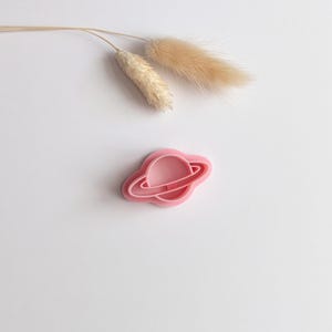 May include: A pink plastic cookie cutter in the shape of a planet with rings. The cutter is on a white surface, with two dried, beige-colored flower stems in the background.