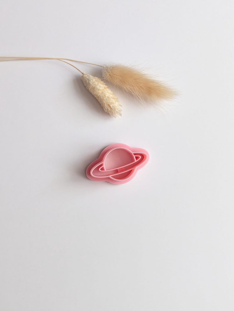 May include: A pink plastic cookie cutter in the shape of a planet with rings. The cutter is on a white surface, with two dried, beige-colored flower stems in the background.
