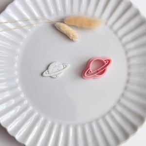 May include: Two planet-shaped cookie cutters, one white with speckled details and the other pink, sit on a white, ridged plate. A sprig of dried, beige decorative grass is also on the plate. The cutters are likely for baking or crafting.