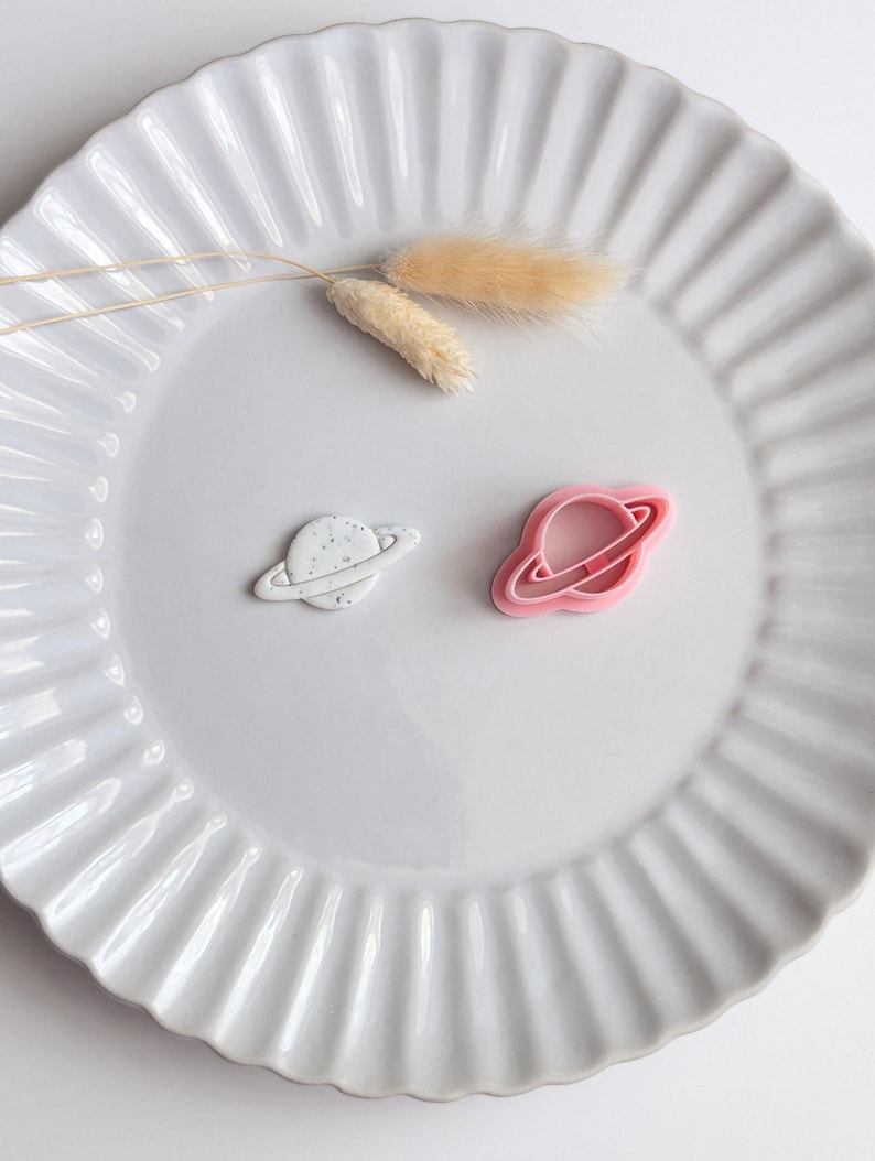 May include: Two planet-shaped cookie cutters, one white with speckled details and the other pink, sit on a white, ridged plate. A sprig of dried, beige decorative grass is also on the plate. The cutters are likely for baking or crafting.