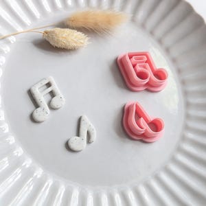 May include: A white, fluted-edged plate displays four music-themed items. Two speckled white musical notes and two pink musical note-shaped cookie cutters are arranged on the plate, alongside a sprig of dried grass.
