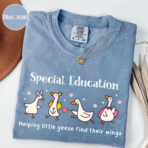 Maglietta Comfort Colors Celebrate Minds of All Kinds, Maglietta per il ritorno a scuola, Maglietta per insegnanti SPED, Maglietta per insegnanti autistici, Felpa sulla neurodiversità