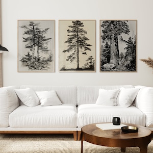 Tree Sketch Drawings Set of 3, Forest Print, Botanical Wall Art, Farmhouse Art Set, Nature Trees Sketch, Retro Tree Decor, Minimalist Art