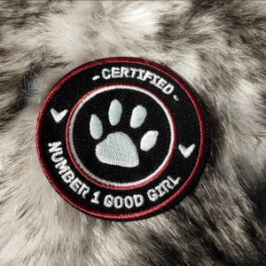 Könnte beinhalten: Ein runder, schwarzer Aufnäher mit rotem Rand und weißem Text. Der Text lautet "CERTIFIED" und "NUMBER 1 GOOD GIRL". In der Mitte befindet sich ein hellblauer Pfotenabdruck. Der Aufnäher befindet sich auf einem flauschigen, grau-weißen Untergrund.