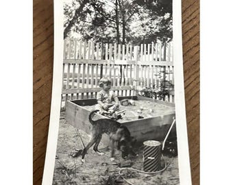 Vintage Photo Pretty Young Girl With Dog Sandbox Playing German Sheppard