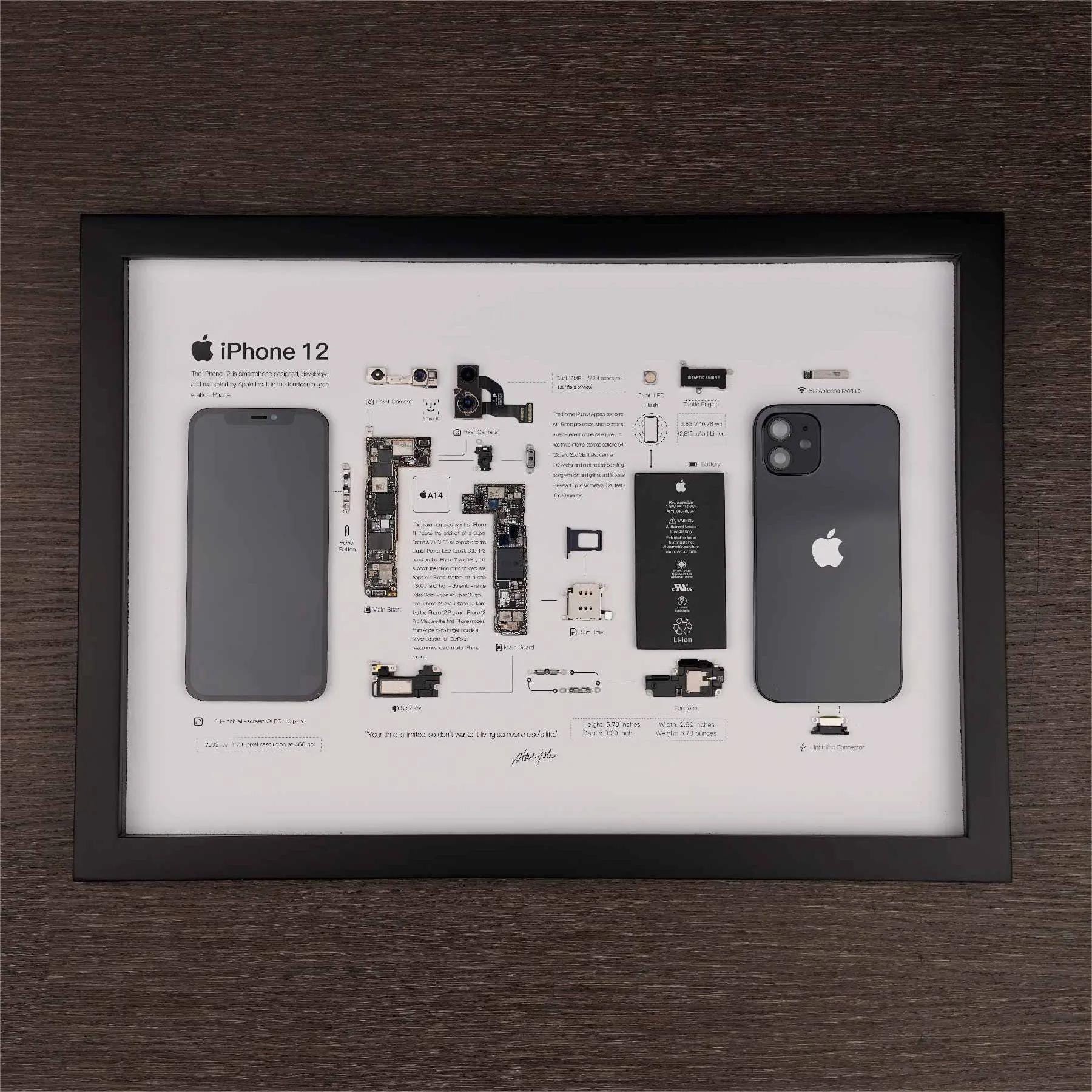 Apple iPhone 12 Teardown Digital Template - Etsy
