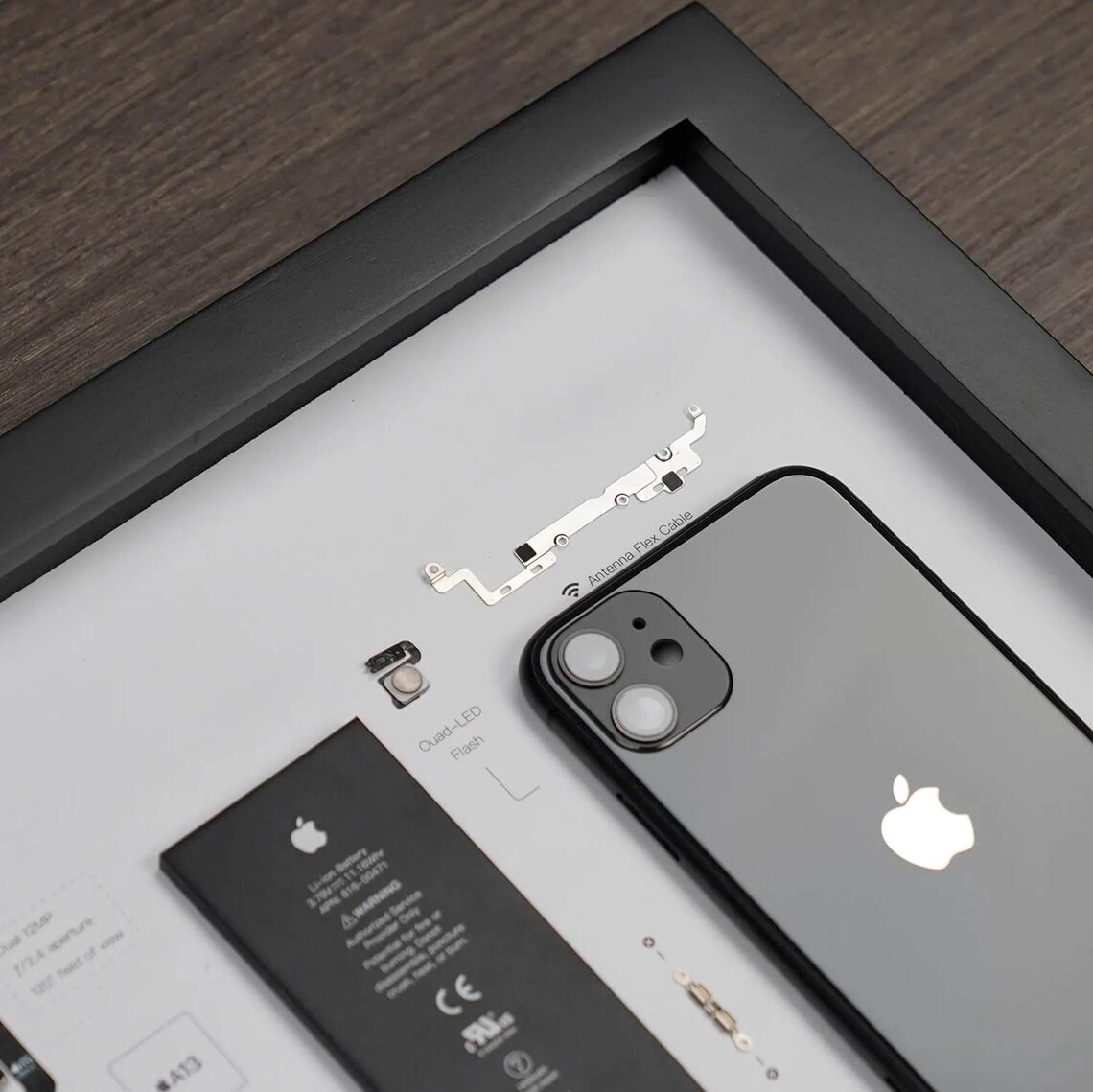 Apple iPhone 11 Teardown Digital Template - Etsy