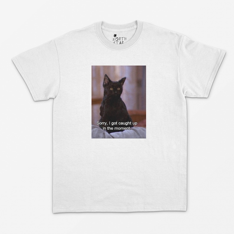 Scusa, mi sono lasciato trasportare dal momento - Maglietta con meme di gatti - Maglietta da strega - Maglietta di Salem - Gatto di Salem - Regalo per proprietari di gatti immagine 1