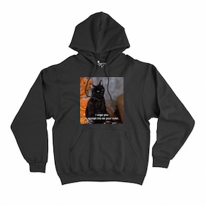 I Urge You To Accept Me As Your Leader Hoodie | Witchy Cat Graphic Hoodie | 90s Inspired - Salem Shirt - Salem Cat - Cat Owner Gift