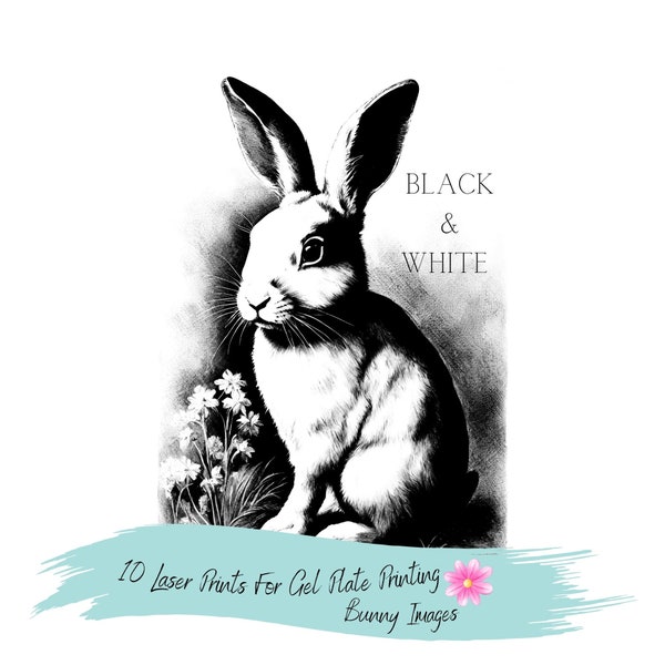 Laser Prints For Gel Plate Printing, Bunny Rabbit, Pack Of 10, Image Size 8x10, Printed On 8.5x11 Glossy Laser Printer Paper