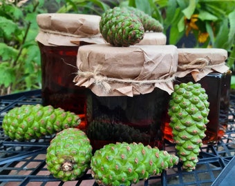 Handgemaakte natuurlijke dennenappeljam uit Bulgarije