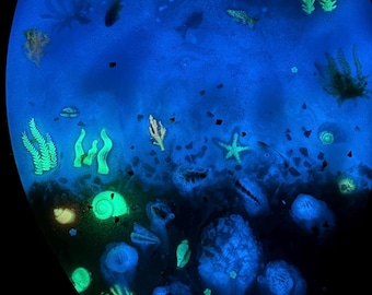 Glow-in-Dark Resin Toilet Seat: Yellow/Sand Color Sand - Marine Life, ELONGATED or O-Shape Toilests