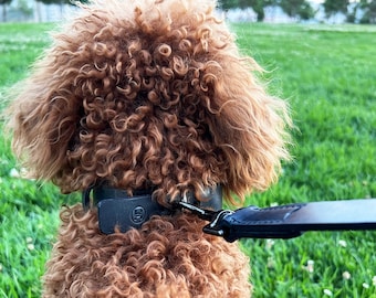 Schwarzes bequemes Halsband, handgefertigtes Rindslederhalsband für kleine und mittlere Hunde, Premium-Lederhalsband, stilvolles und langlebiges Haustierzubehör