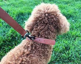 Brown Comfortable Collar, Handmade Cowhide Collar for Small and Medium Dogs, Premium Leather Collar, Stylish and Durable Pet Accessory