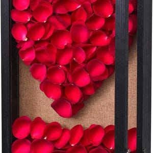 May include: A rectangular black wooden shadow box frame featuring a tan fabric backing. Inside, vibrant red rose petals are arranged to form a large heart shape in the upper section, with additional loose red petals scattered at the bottom base.