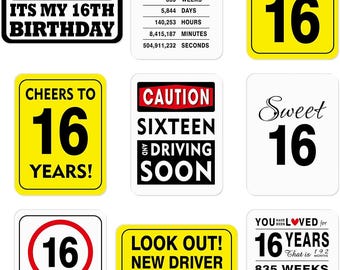 16th Birthday Party Decorations 9PCS Wall Signs Funny Tags for Teens 16 Years Old Party Decor 16th Party Banner Windows Signs Picture Props