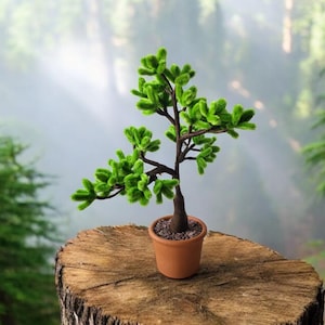 Könnte beinhalten: Ein kleiner Topfbaum mit grünen Blättern steht auf einem Baumstumpf in einer nebligen Waldlandschaft.