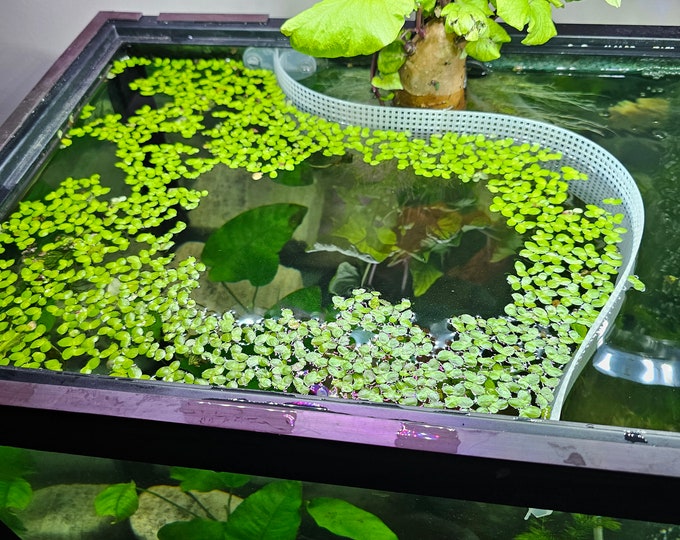 Floating Plant Barrier,17.7inch Round Floating Island Plant Protector Fine Mesh Floating Pond Corral Protects Your Floating Plants From Pond Fish