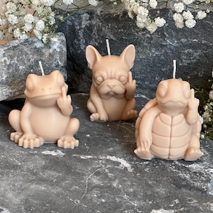 Könnte beinhalten: Drei beige Kerzen in Tierform: ein Frosch, eine französische Bulldogge und eine Schildkröte. Jede Kerze ist mit einer Handgeste geformt. Die Kerzen werden auf einer grauen Steinoberfläche mit weißen Blumen im Hintergrund ausgestellt.