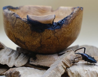 Salad bowl in faux acacia burl