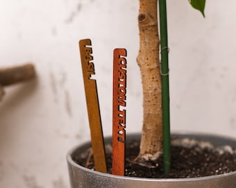 Holz Gartenstecker, Pflanzenschilder, Personalisiertes Gartenschild, Pflanzenschilder, Kräutergartenschilder, Blumengartenschilder, Grünzeugschilder, Obstschilder