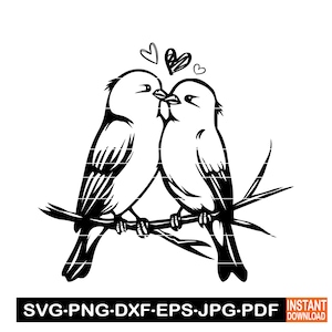 Amore uccelli SVG, uccelli innamorati SVG, coppia di uccelli SVG, Clipart, file per Cricut, file di taglio per Silhouette, Dxf, Png, vettoriale, download digitale