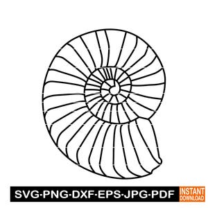 May include: A black and white line drawing of a nautilus shell. The shell is spiraled and has a detailed pattern.