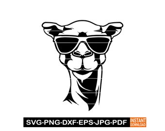 Camel with Sunglasses SVG, Cool Camel SVG, Camel Mascot SVG, Camel Clipart, Files For Cricut, Cut Files For Silhouette, Dxf,Png,Camel Vector