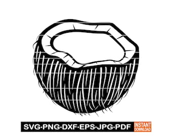 Coconut SVG, PNG, DXF, Tropical Fruit Clipart, Summer Beach Cut File, Palm Tree Fruit Design, Coconut Shell Cricut File