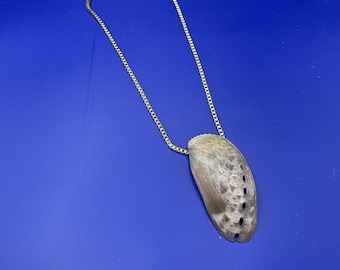 Shell necklace / necklace with shell pendant / necklace choker shell necklace made of real shells, individually adjustable