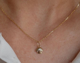 Charm de concha de oro macizo de 14 k